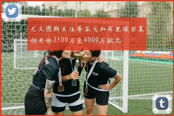 尤文图斯关注蒂亚戈加布里埃尔莱切开价3500万至4000万欧元